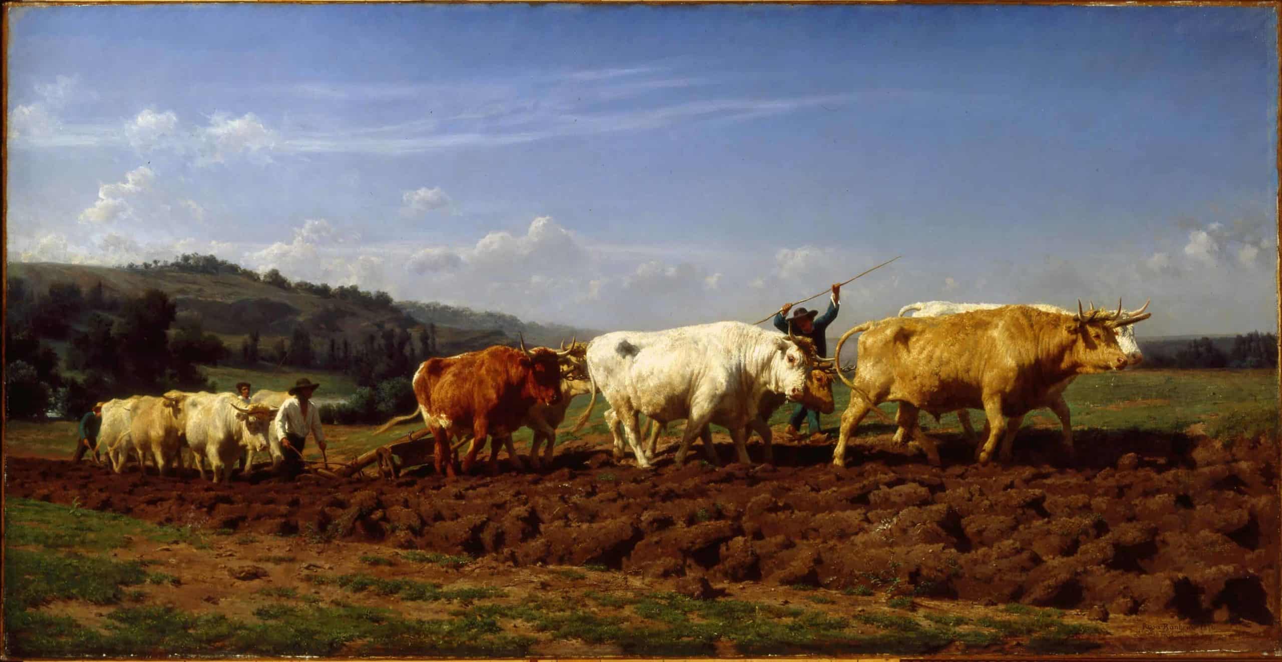 Rosa Bonheur's Plowing in Nivernais appeared at the Clark Art Institute in Williamstown in Women Artists in Paris 1850 to 1910.