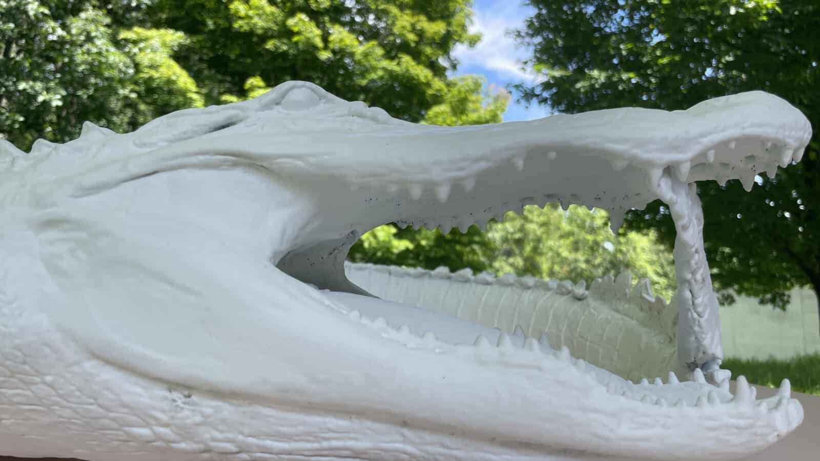 An alligator takes its tail in its mouth in an echo of the mythical ouroboros in Allison Janae Hamilton's sculpture at the Clark Art Institute.