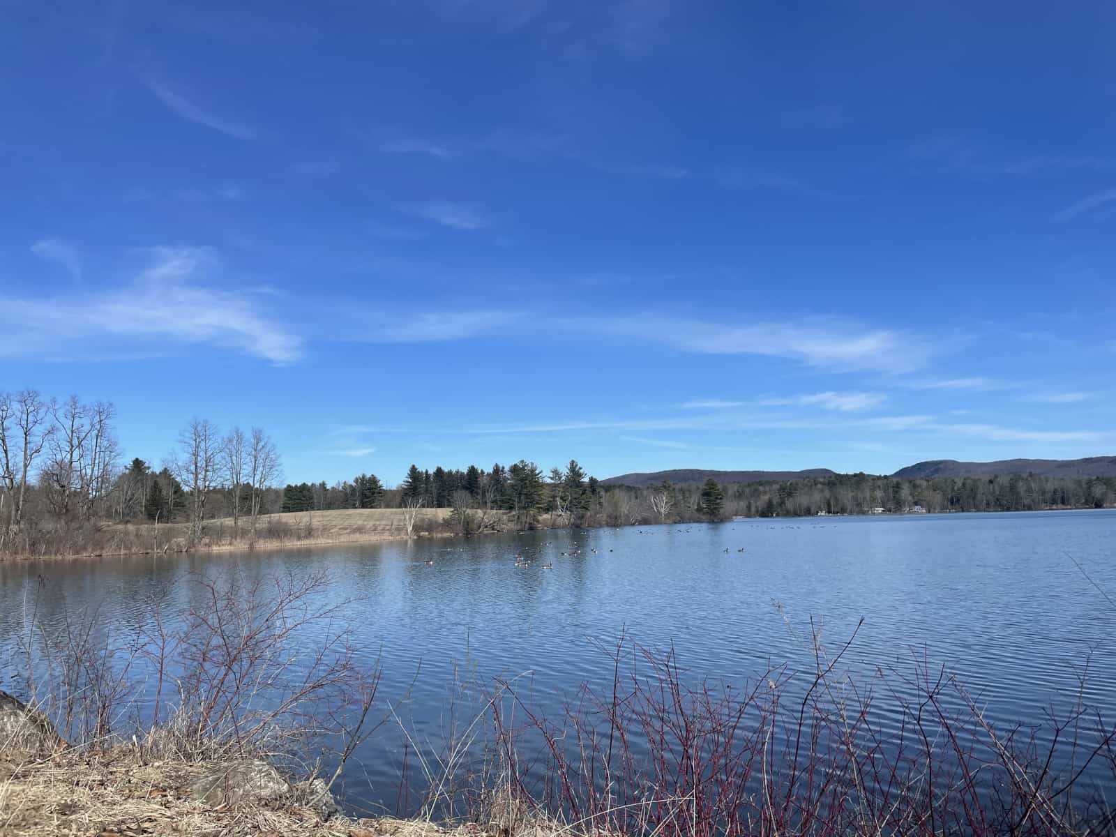 The hills reflect in Laurel Lake on a still blue-sky early spring day.