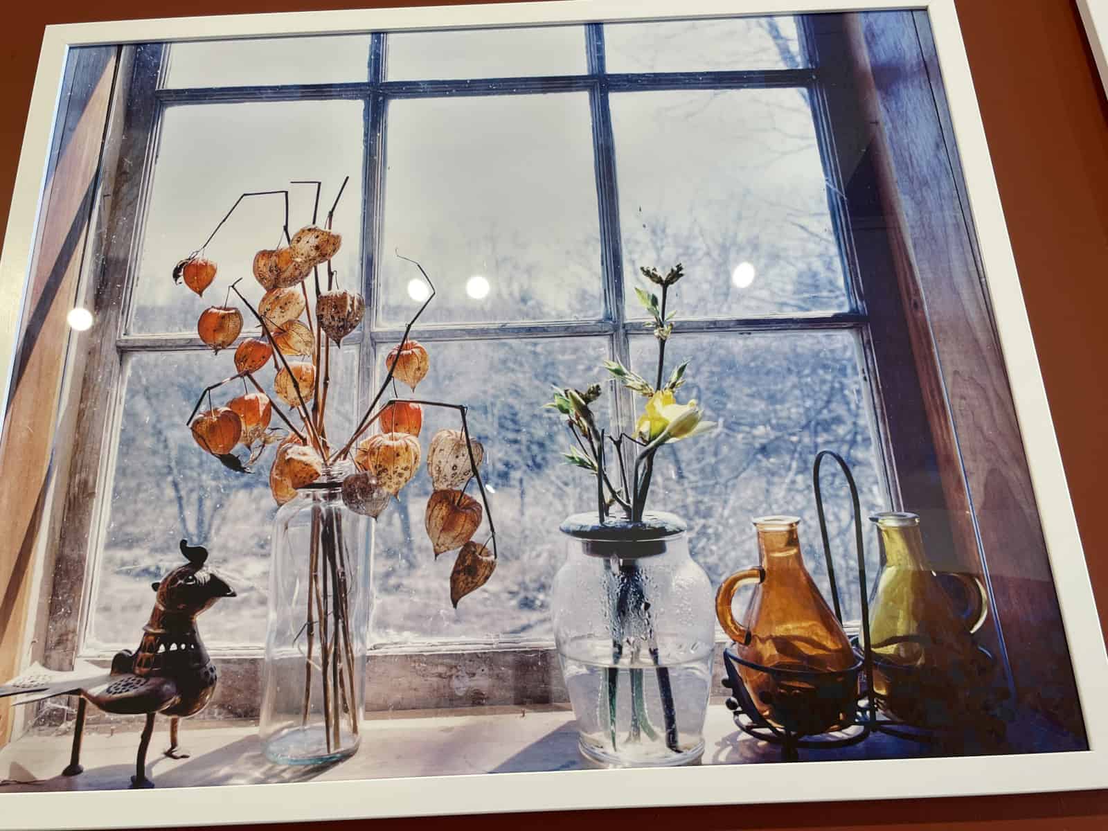 Seed pods catch the loght on a windowsill n Lorena Molina's photographs in 'Unfortunately It Was Paradise' at MCLA in North Adams.