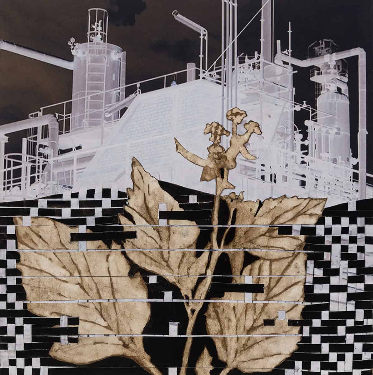 Mustard helps to heal the land around an oil refinery in Ellen Driscoll's painting in black walnut and sumi ink. Press image courtesy of the artist