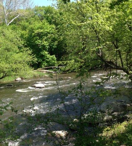 The Housatonic River flows by the River Walk in Great Barrington.