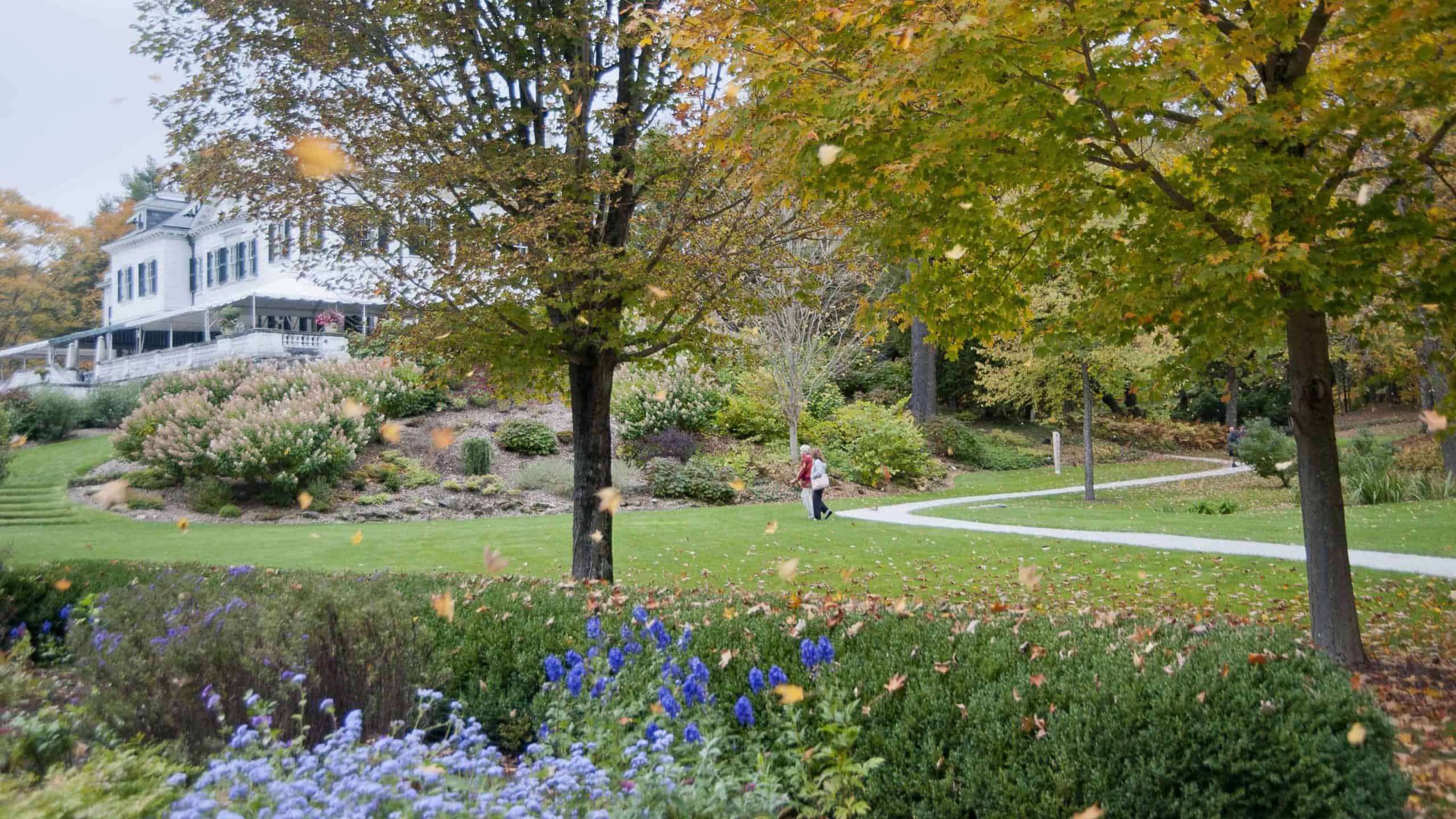 Edith Wharton's gardens turn blue and gold in the fall. Press photo courtesy of the Mount