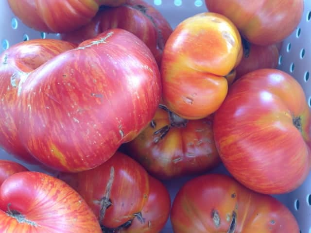 Heirloom tomatoes range in size and color.
