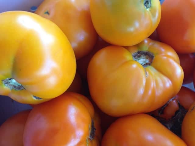 According to a recent Facebook post, Bartlett's offers as many as "16 varieties of hybrid tomatoes, 18 varieties of heirlooms, and 6 varieties of cherrys." Photo by Kate Abbott