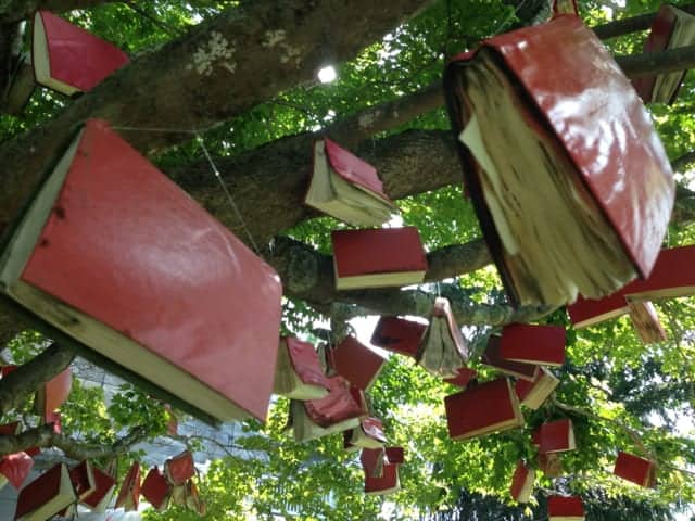 Caroline Bagenal's 'Words and Leaves' fills a maple tree outside the studio with red-bound books. Photo by Kate Abbott