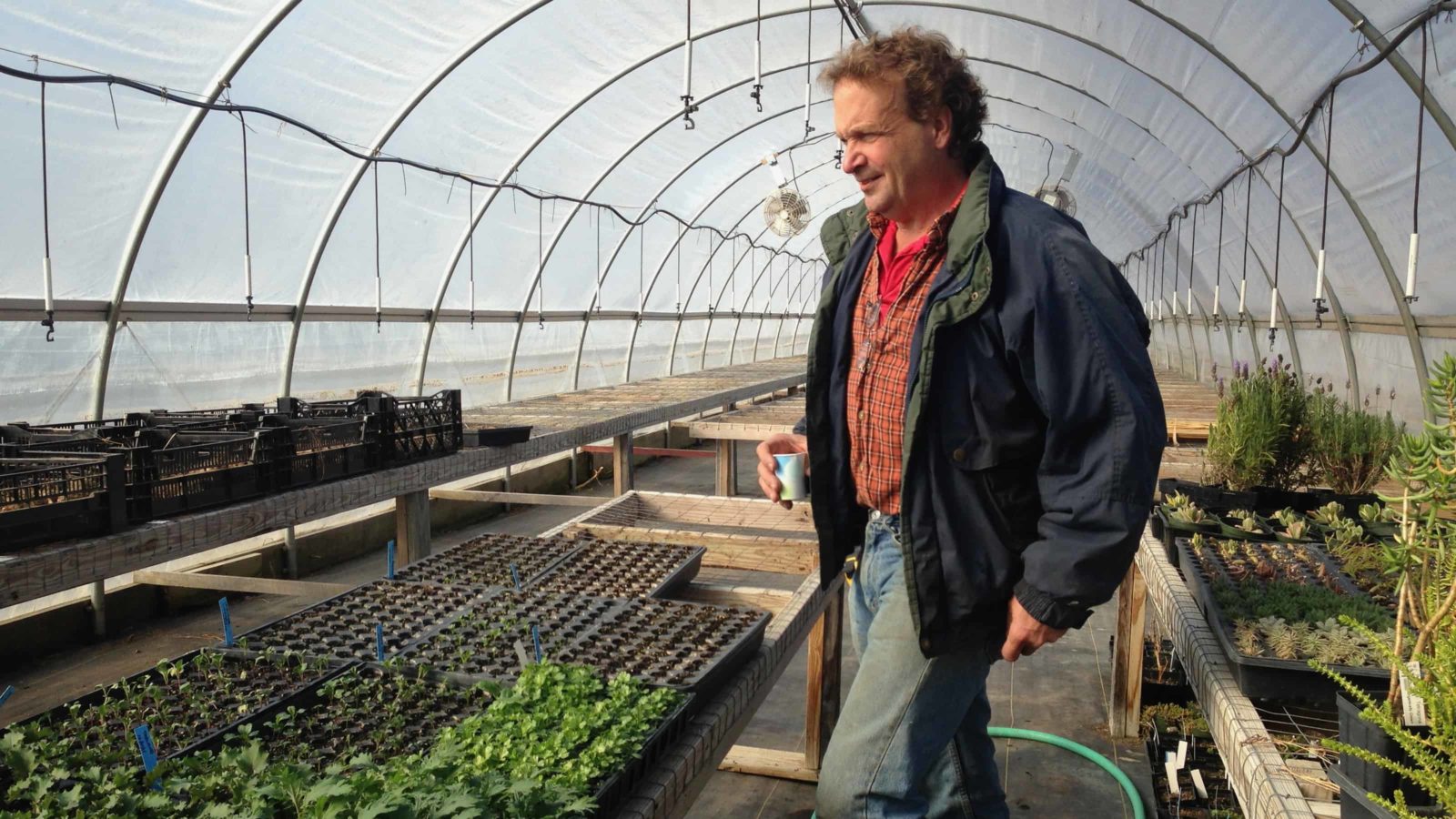 Chatham Berry Farm grows fresh produce even in winter.