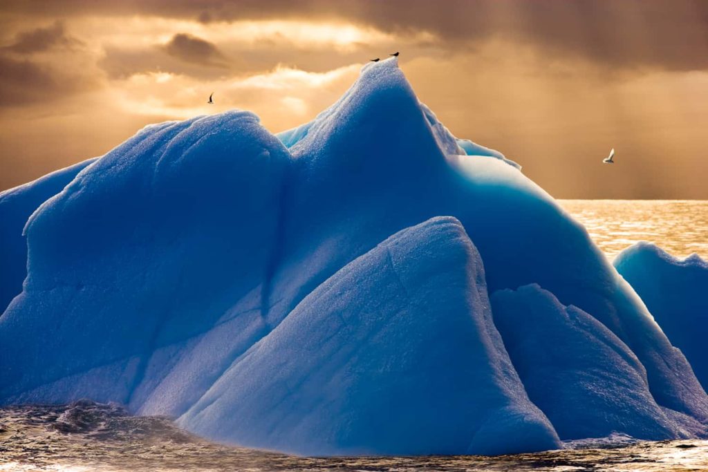Blue Iceberg in the Scotia Sea in Antarctica. Photo courtesy of Seth Resnick and Cassandra Sohn Gallery