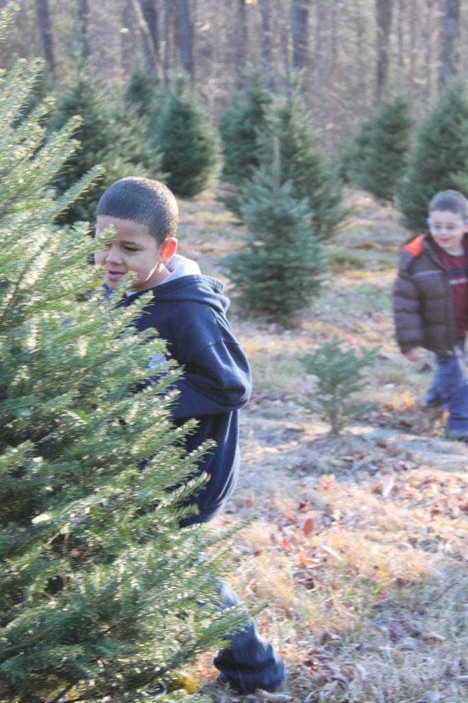 Dorothy and Mark Alford's family chooses a tree at Crane Hill Tree Farm. n the photo above, Dorothy and Mark Alford's family chooses a tree at Crane Hill Tree Farm. Photo taken in December 2009.