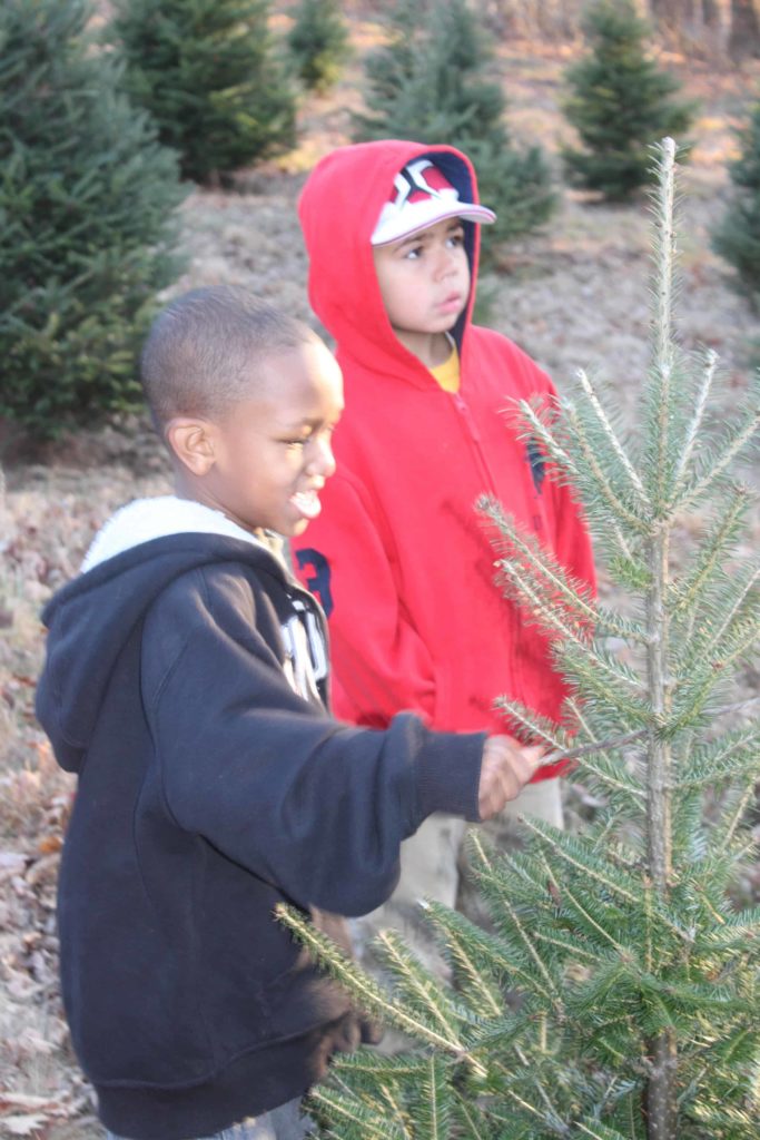 Dorothy and Mark Alford's family chooses a tree at Crane Hill Tree Farm. n the photo above, Dorothy and Mark Alford's family chooses a tree at Crane Hill Tree Farm. Photo taken in December 2009.