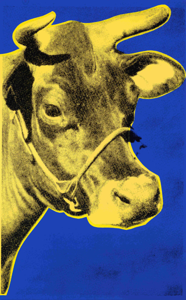 Andy Warhol's print of a cow gleams in primary colors in summer 2017 in an exhibit at the Norman Rockwell Museum.