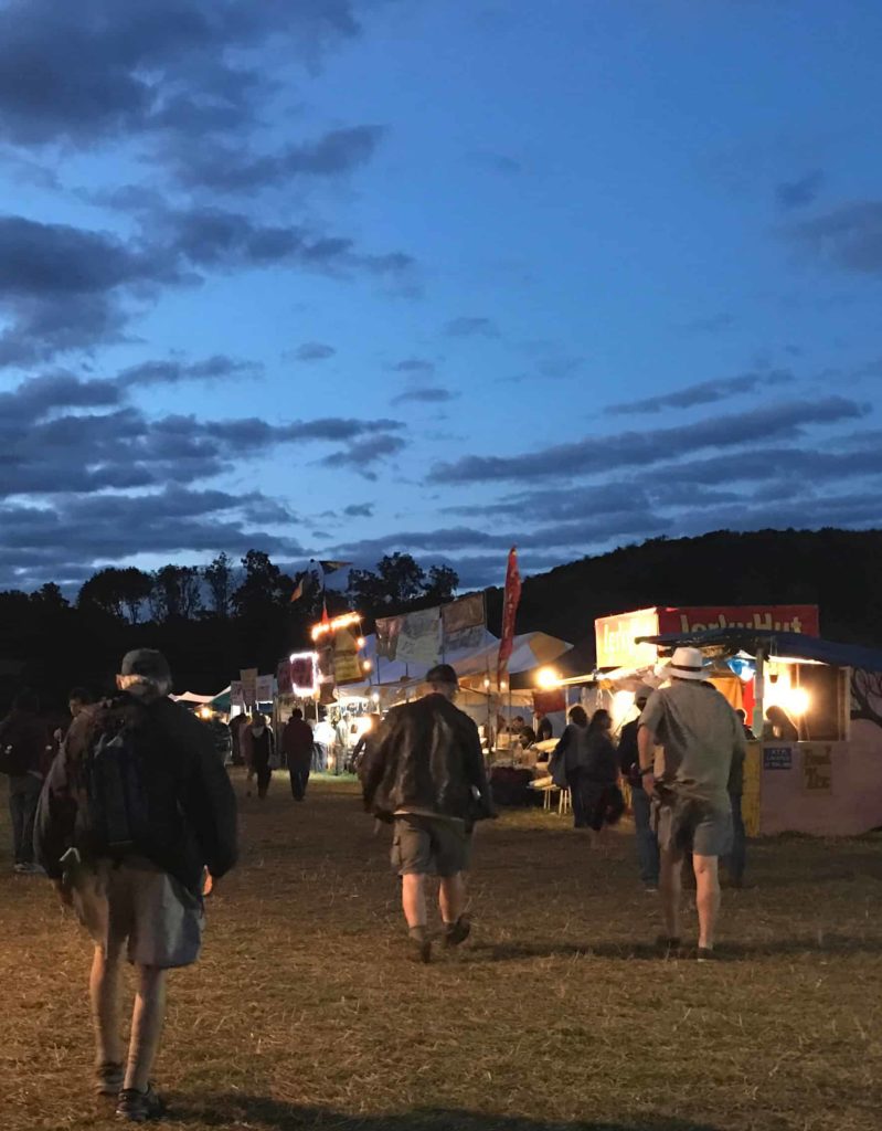 Falcon Ridge Folk Festival brings indy and wellknown singer songwriters