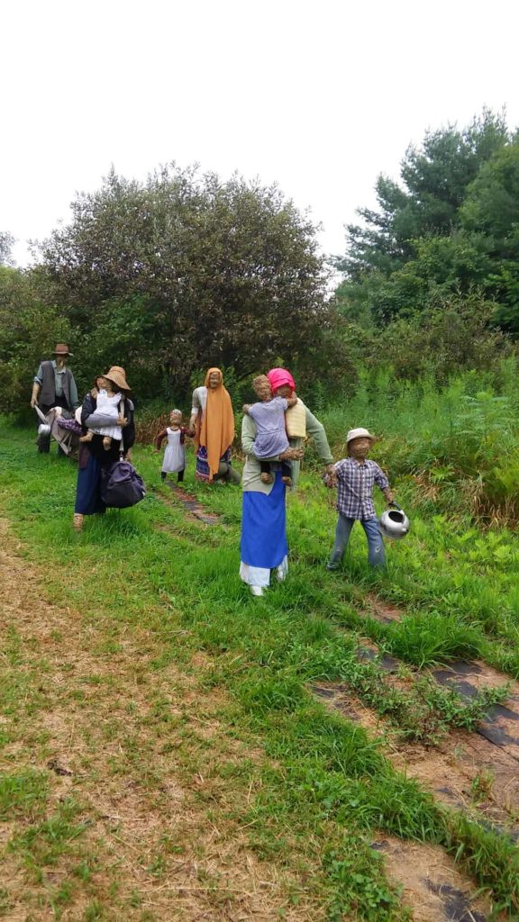 Refugees walk in the fields — (hint) at an orchard in Easthampton.