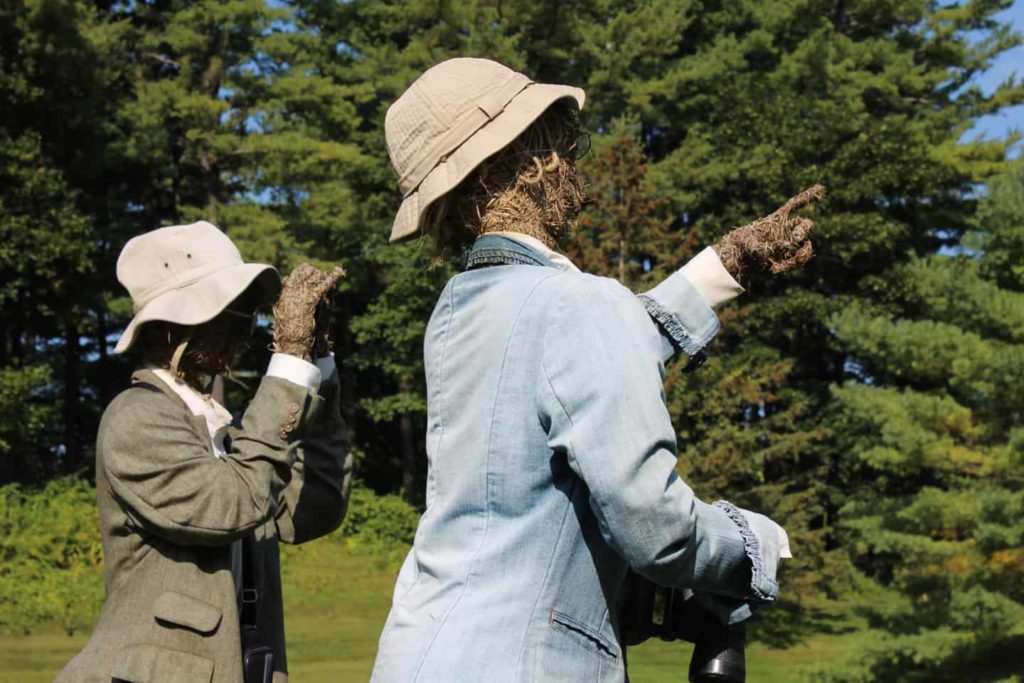 Bird Watchers look for migrating visitors (hint) on the grounds of a senior retirement community close to Route 20 Bypass