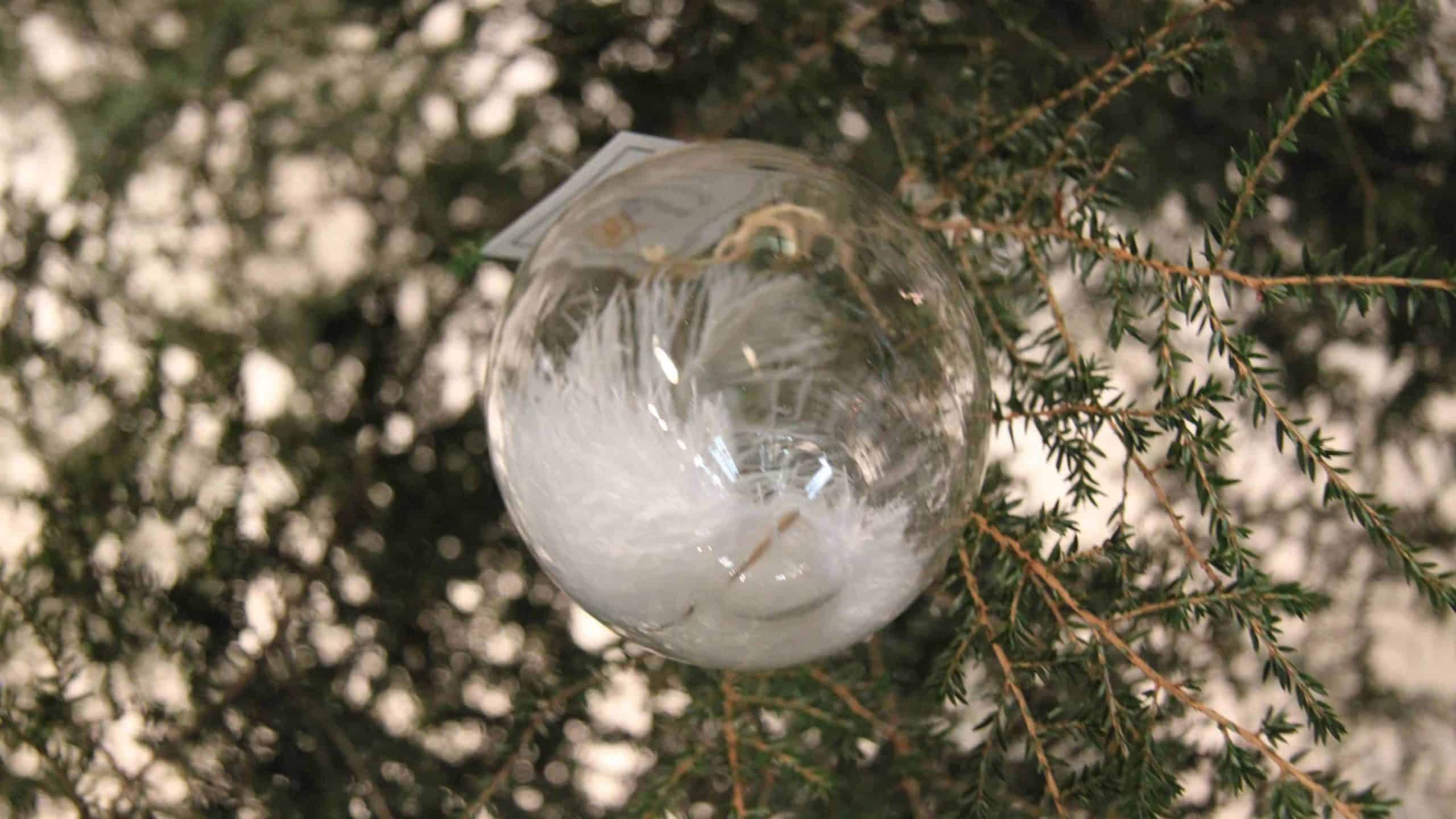 A winter holiday ornament catches the light.