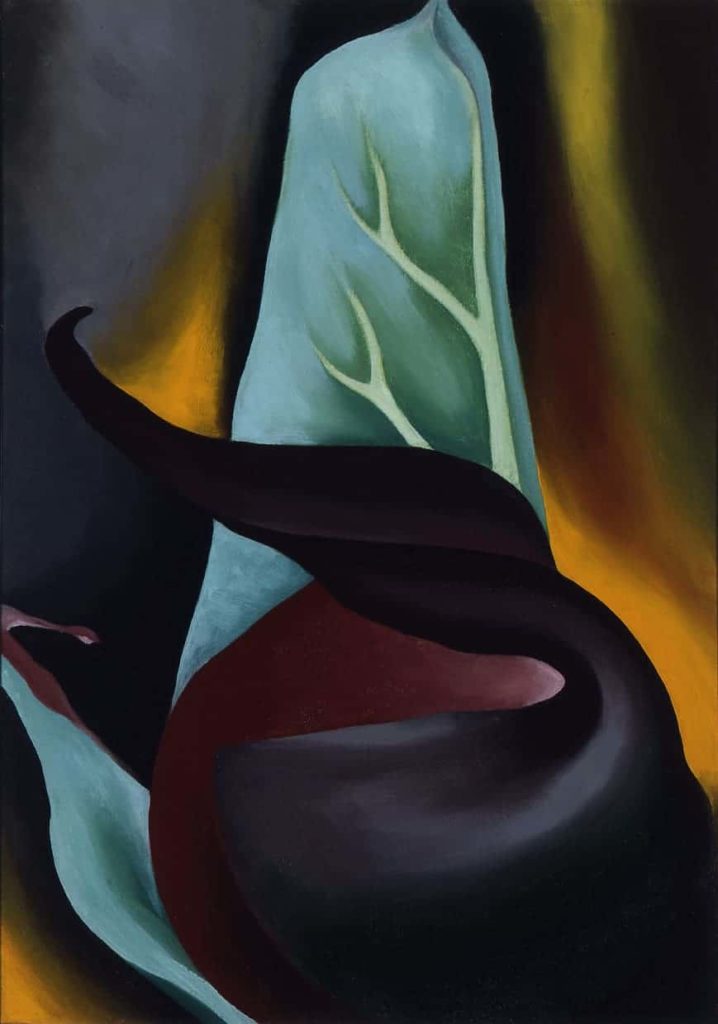 WCMA will lead a talk and look at rarely shown treasures including Georgia O'Keeffe's 'Skunk Cabbage.'