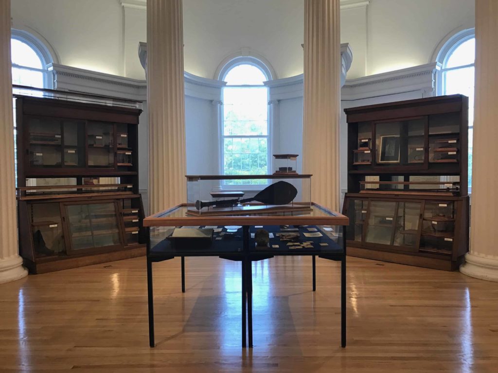 In the rotunda, a gathering of artifacts recalls and challenges the 'Cabinet of Curiosities' 19th-century style of museum in The Field Is the World at the Williams College Museum of Art.