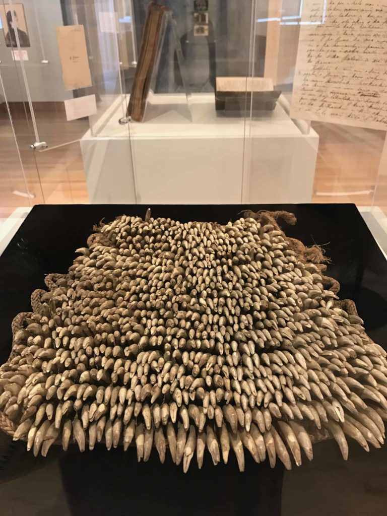 A kupeʻe niho ilio, an anklet made of dogs' teeth, would have been worn as a percussive element in dance. This artifact came to light in a Williams college dorm 40 years ag o. Image in The Field Is the World at the Williams College Museum of Art.