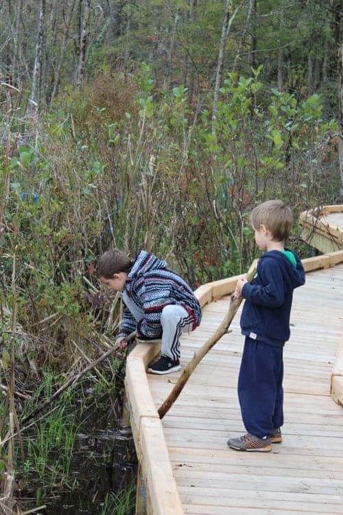 Patrick and Gabriel Smith O'Connor explore the marsh on and off the boardwalk.