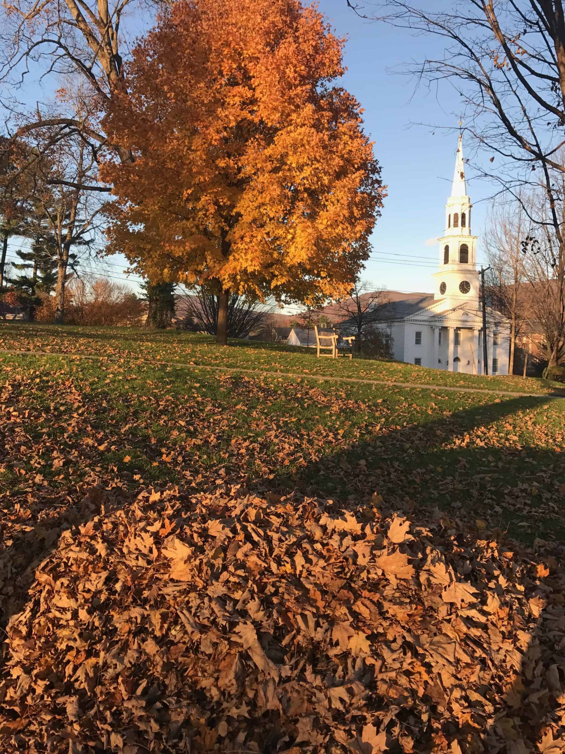 Someone understands the glory of a good leaf pile at Williams College.