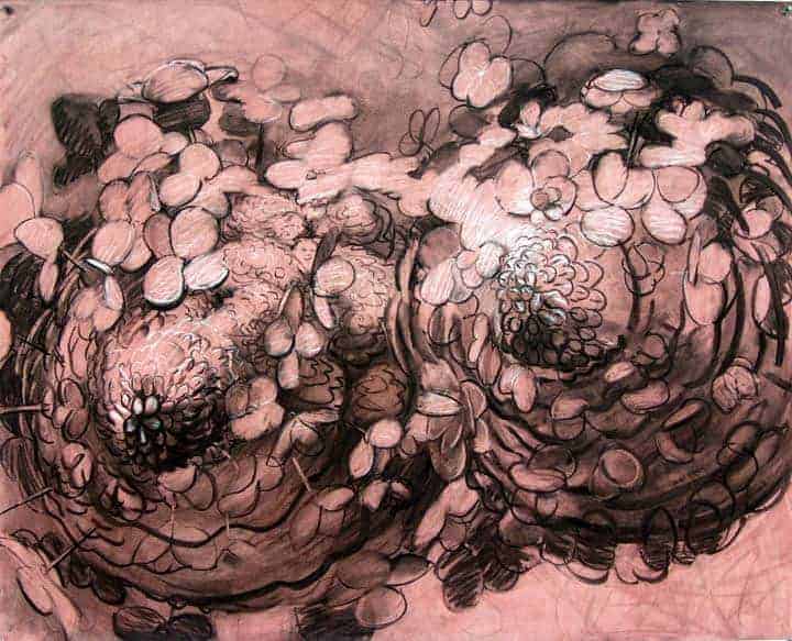 'Hydrangea' blooms in charcoal and acrylic on paper, in the Ecophilia exhibit at the Berkshire Botanical Garden.