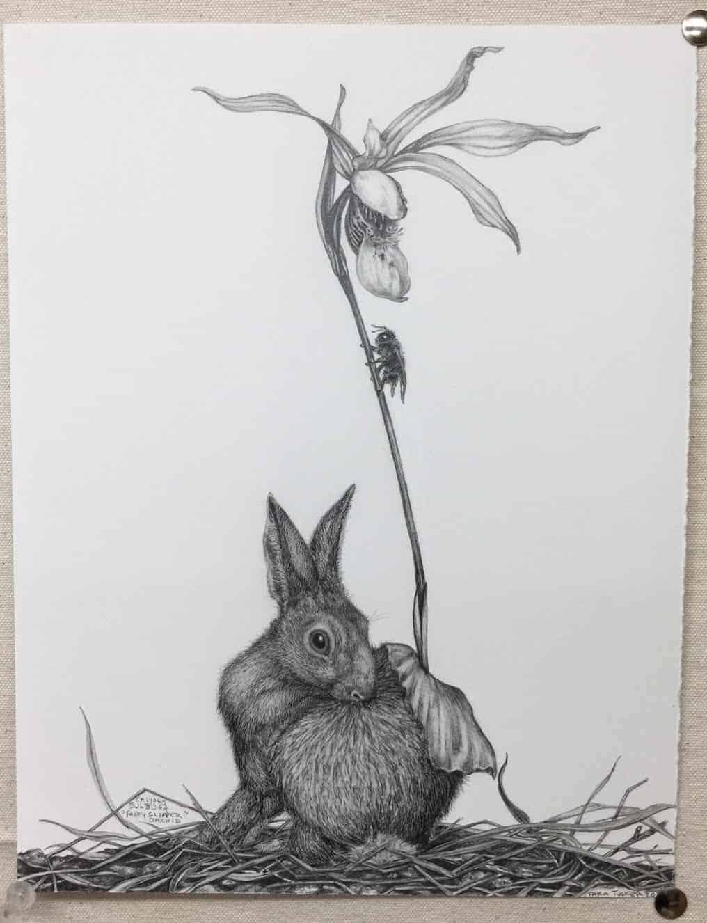 A rabbit is wrapped in an organic world and a lady's slipper in 'Fairy Slipper Orchid,' graphite on paper, in the Ecophilia at the Berkshire Botanical Garden.