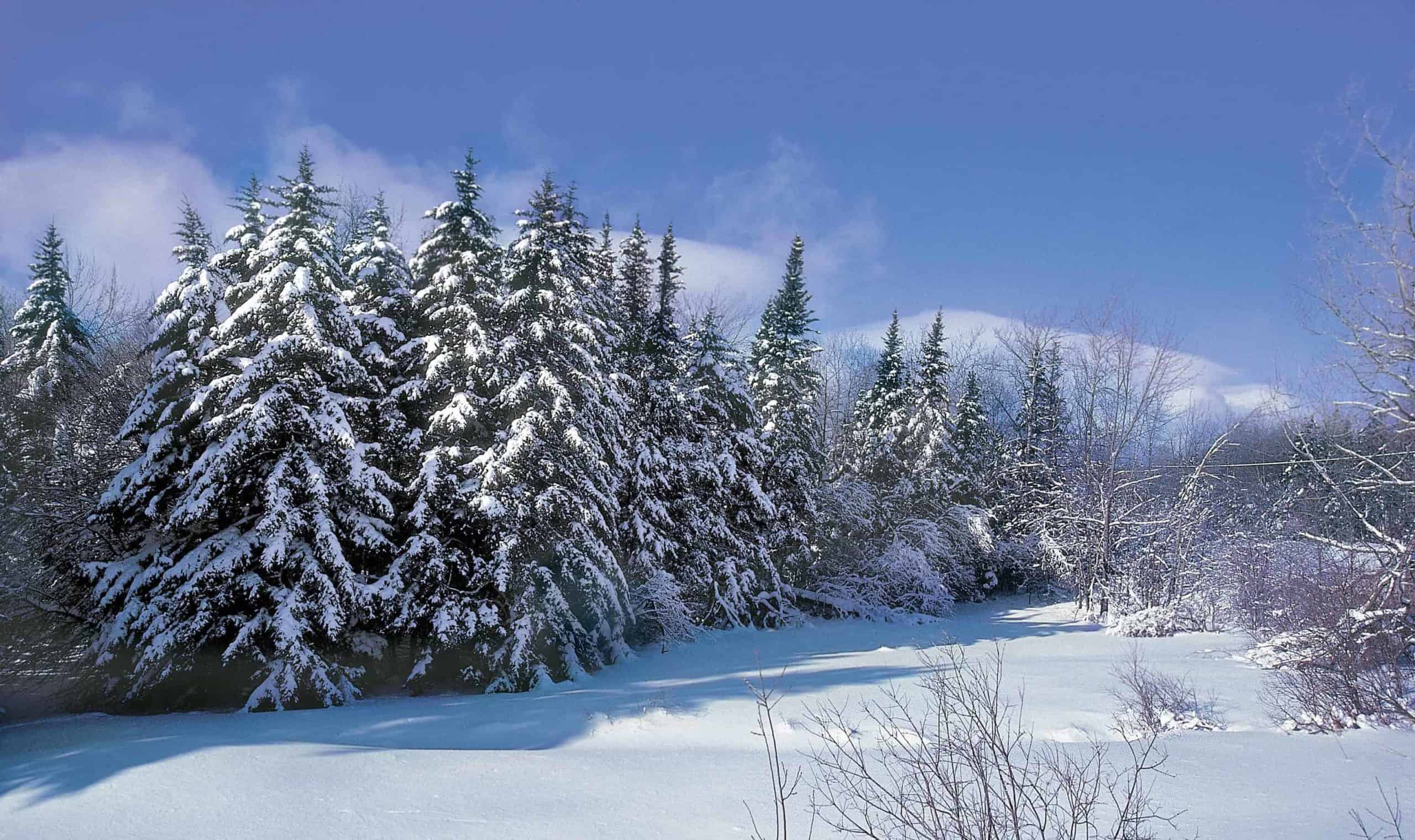 Notchview in Windsor grooms miles of trails for cross-country skiing and snowshoeing.