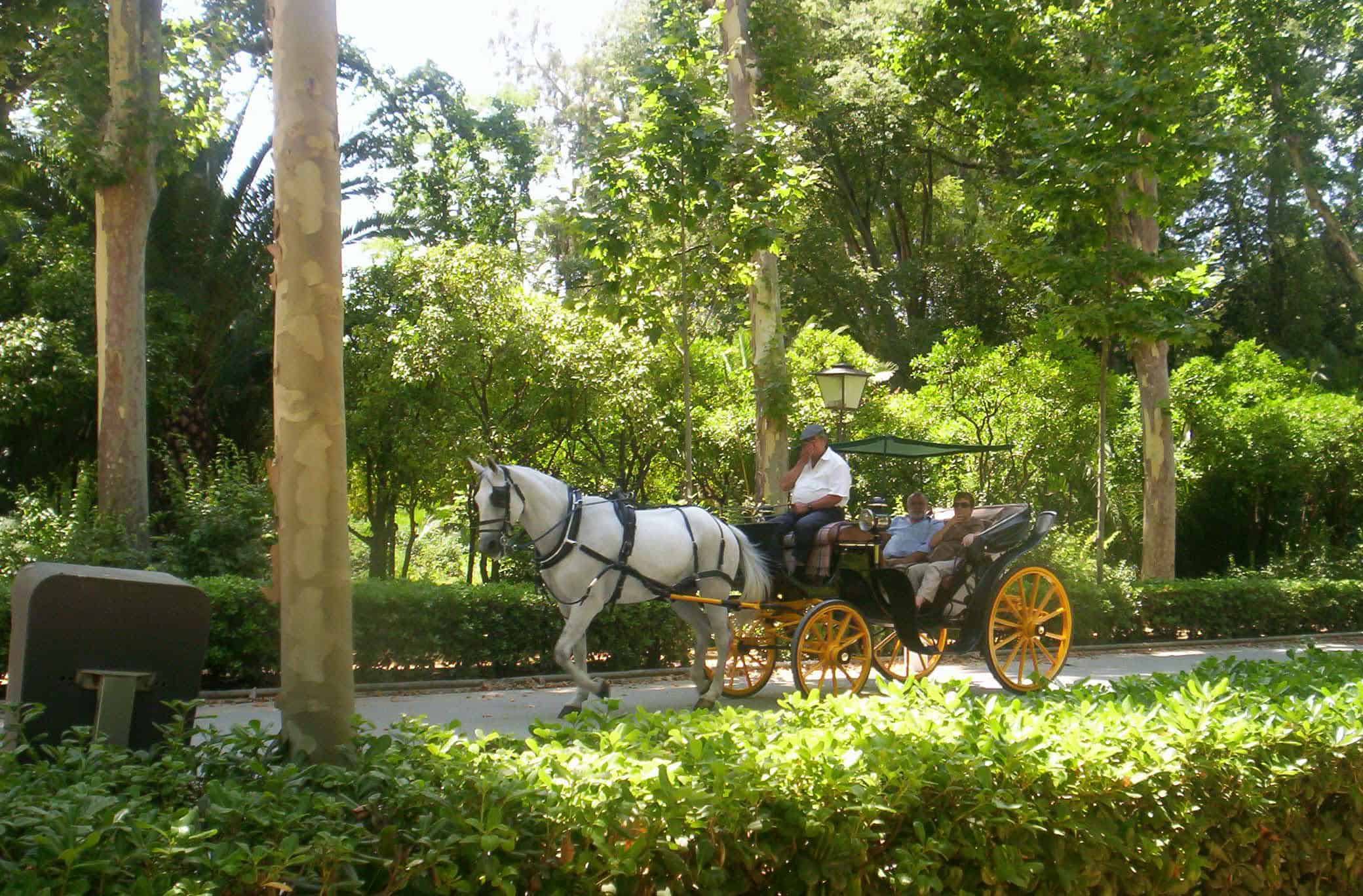 Horses draw visitors up the sandy paths in a city park in Seville.