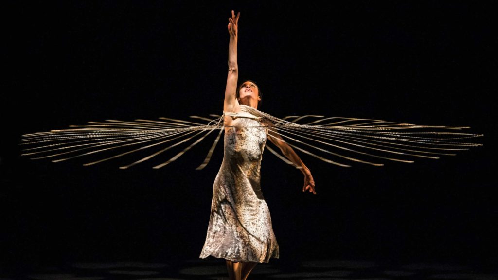 The acrobatic modern dance company Momix will return to the Mahaiwe in July 2019.