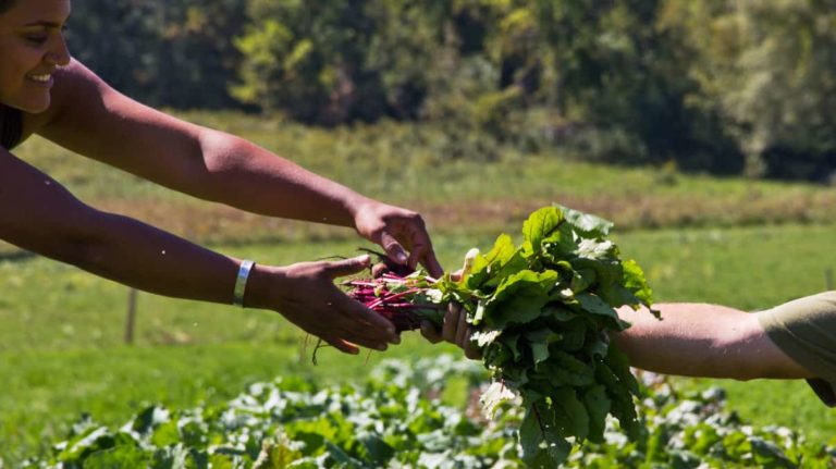 An image from Woven Roots Farm appears in Small Good Thing.