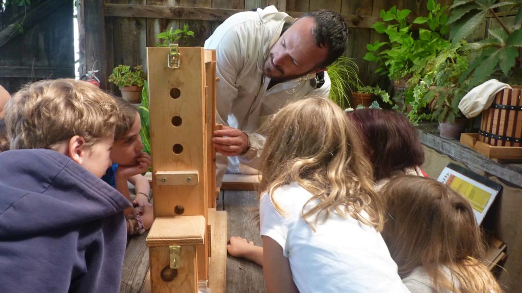 Young visitors to the Berkshire Botanical Garden in Stockbridge learn about the lives of bees.
