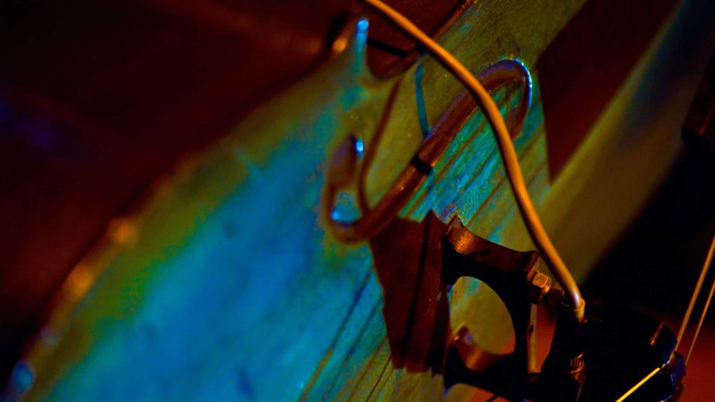 Close-up of the bridge of a cello. Courtesy photo by Cody Molica.