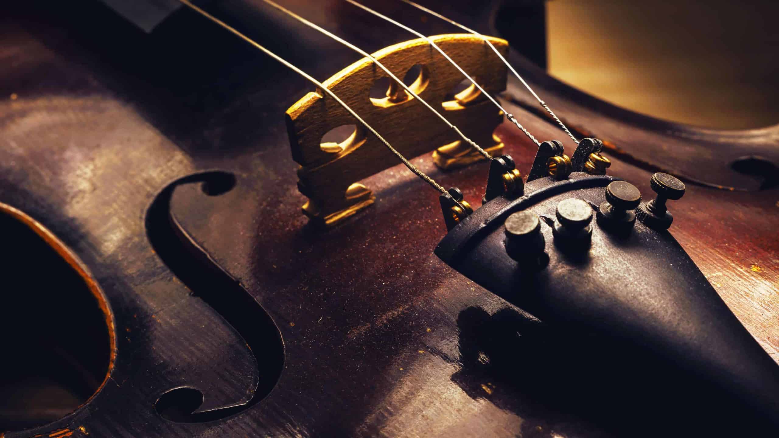 Closeup view on old dusty violin, details of wood and structure. Courtesy photo by Dejan Krsmanovic