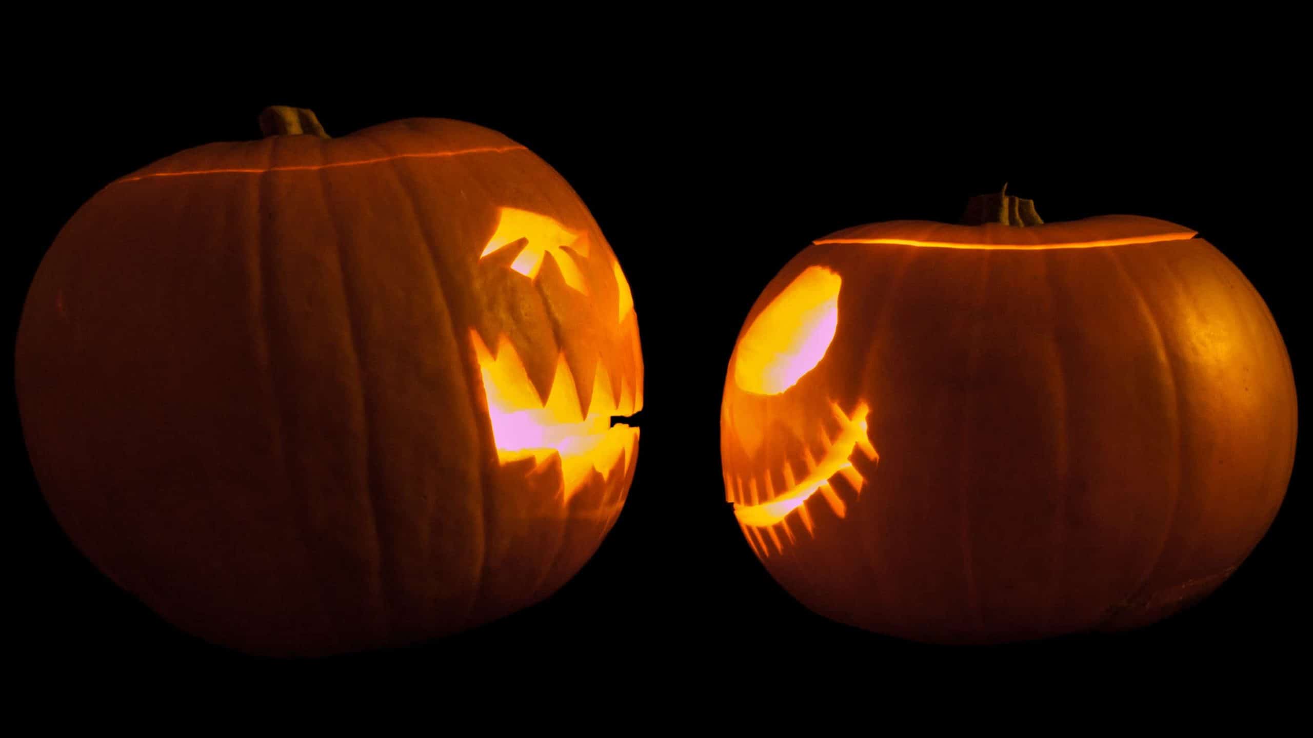 Jack-o-lanterns face each other. Creative Commons courtesy photo