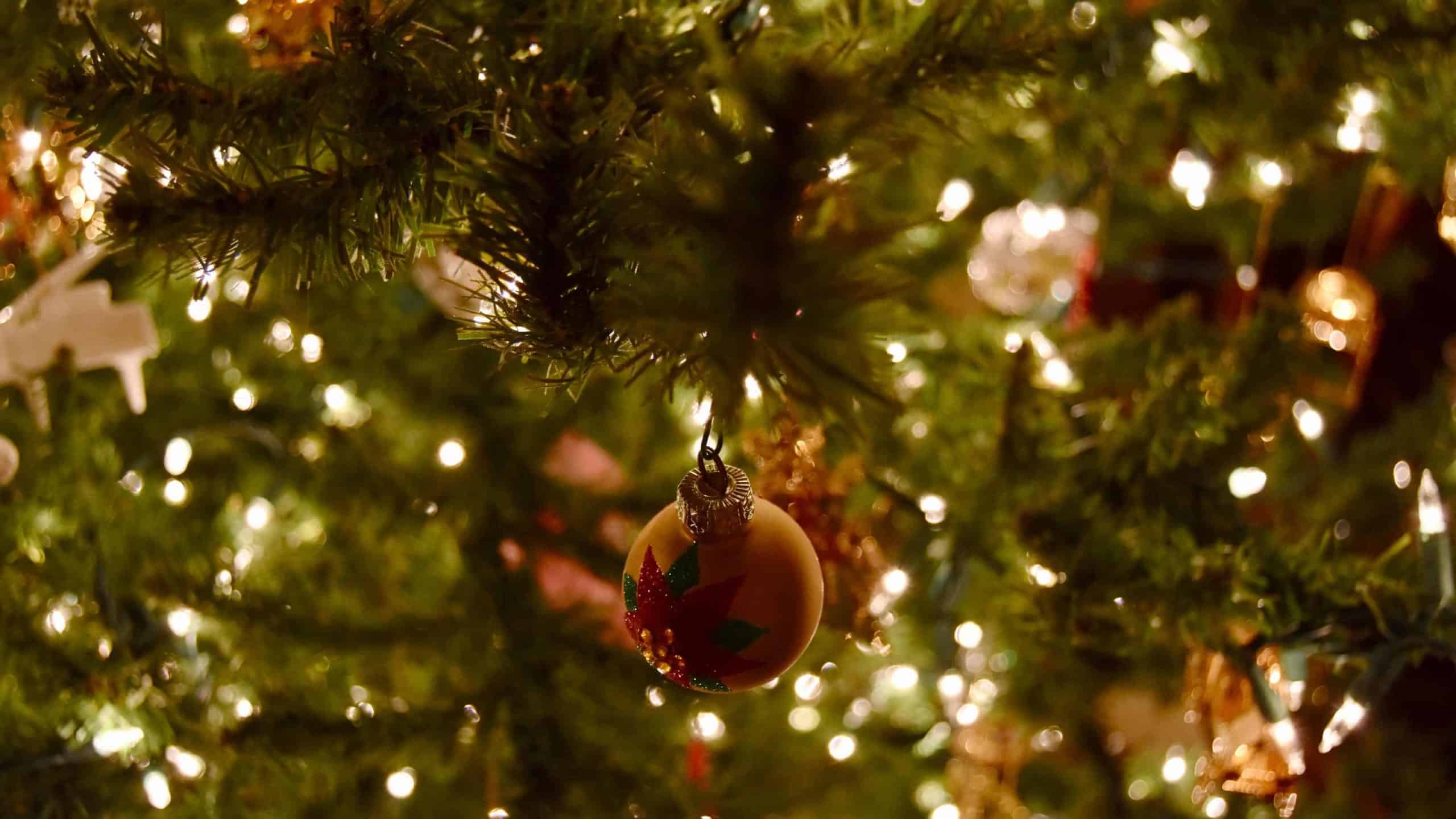 Christmas tree, courtesy photo (Creative Commons) by Nick Amoscato.