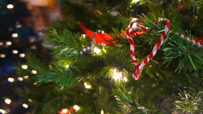 Lighted Christmas tree. Courtesy photo (Creative Commons).