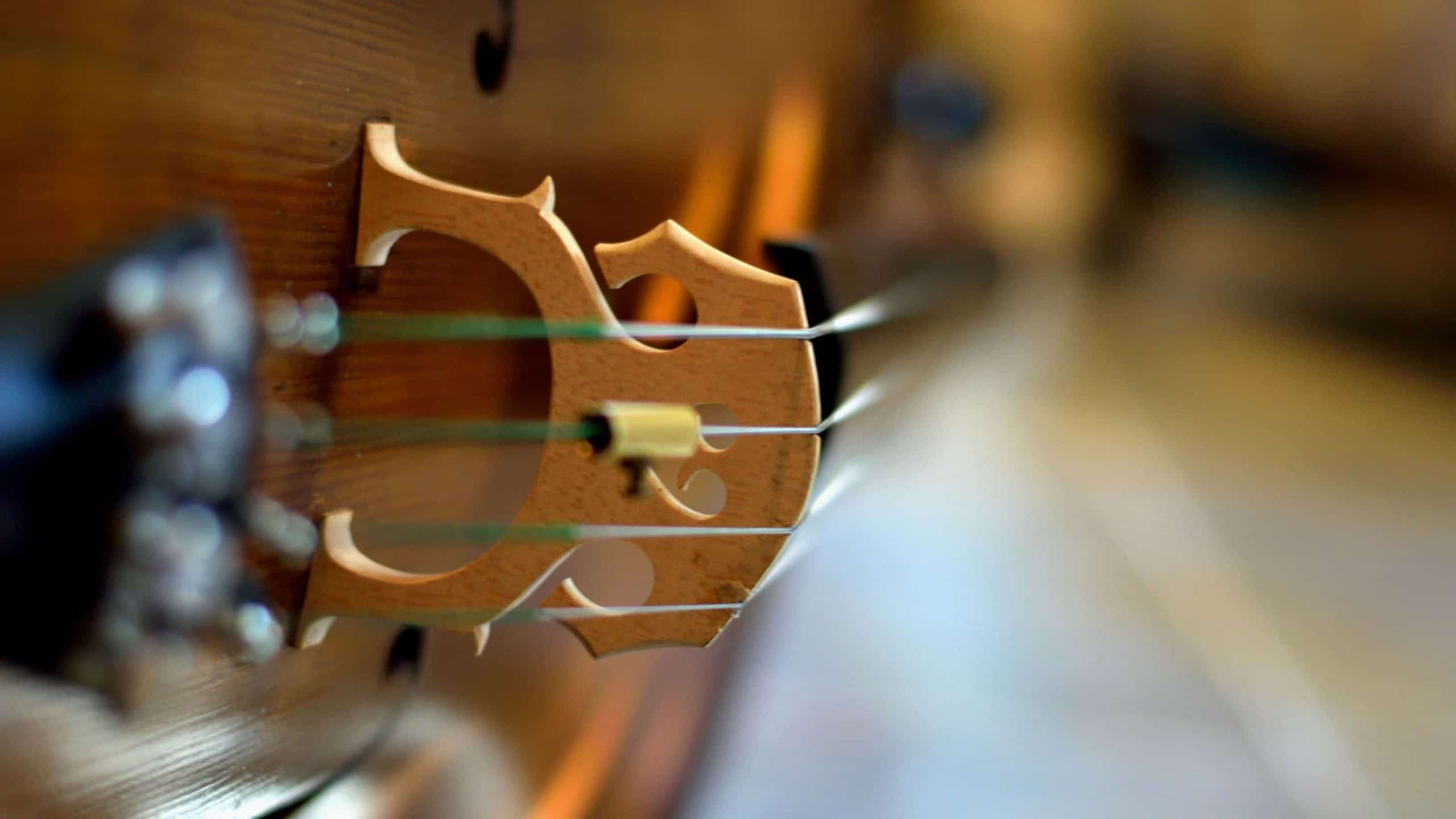 Cello strings gleam. Creative commons courtesy photo.