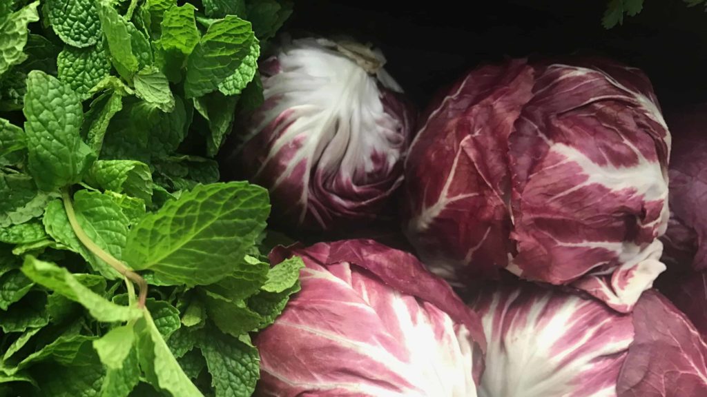 Cabages and herbs gleam at Guido's Fresh Marketplace in Great Barrington.