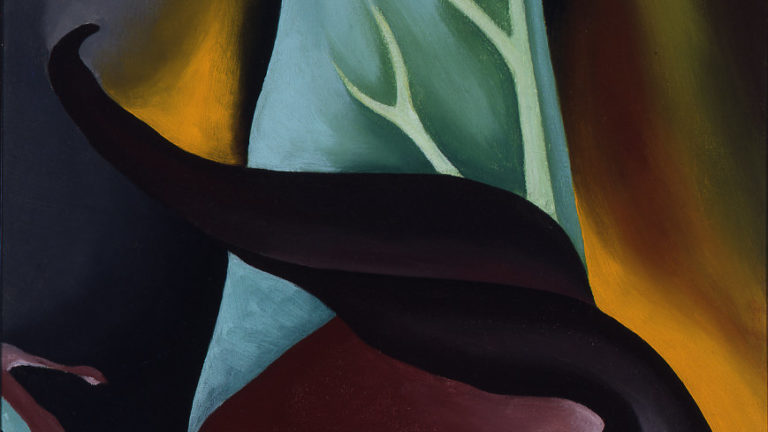 Georgia O'Keeffe's 'Skunk Cabbage' in the collection of the Williams College Museum of Art. Image courtesy of WCMA.