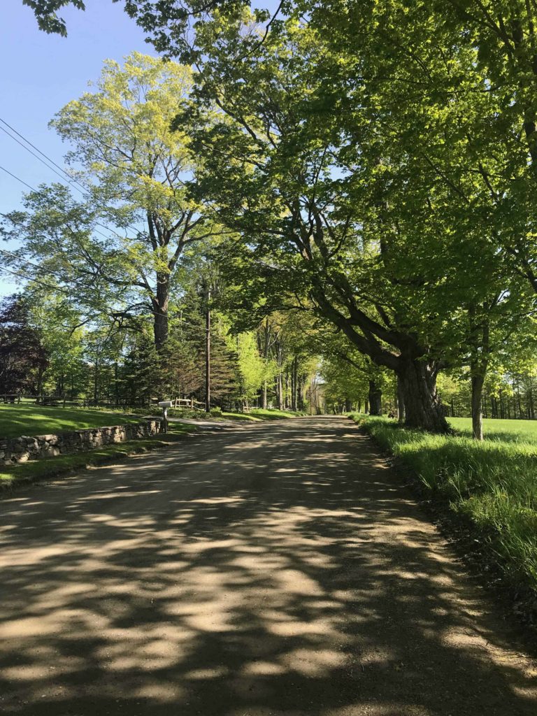 An unpaved road leads east from Richmond toward Lenox in the shade of maple trees.