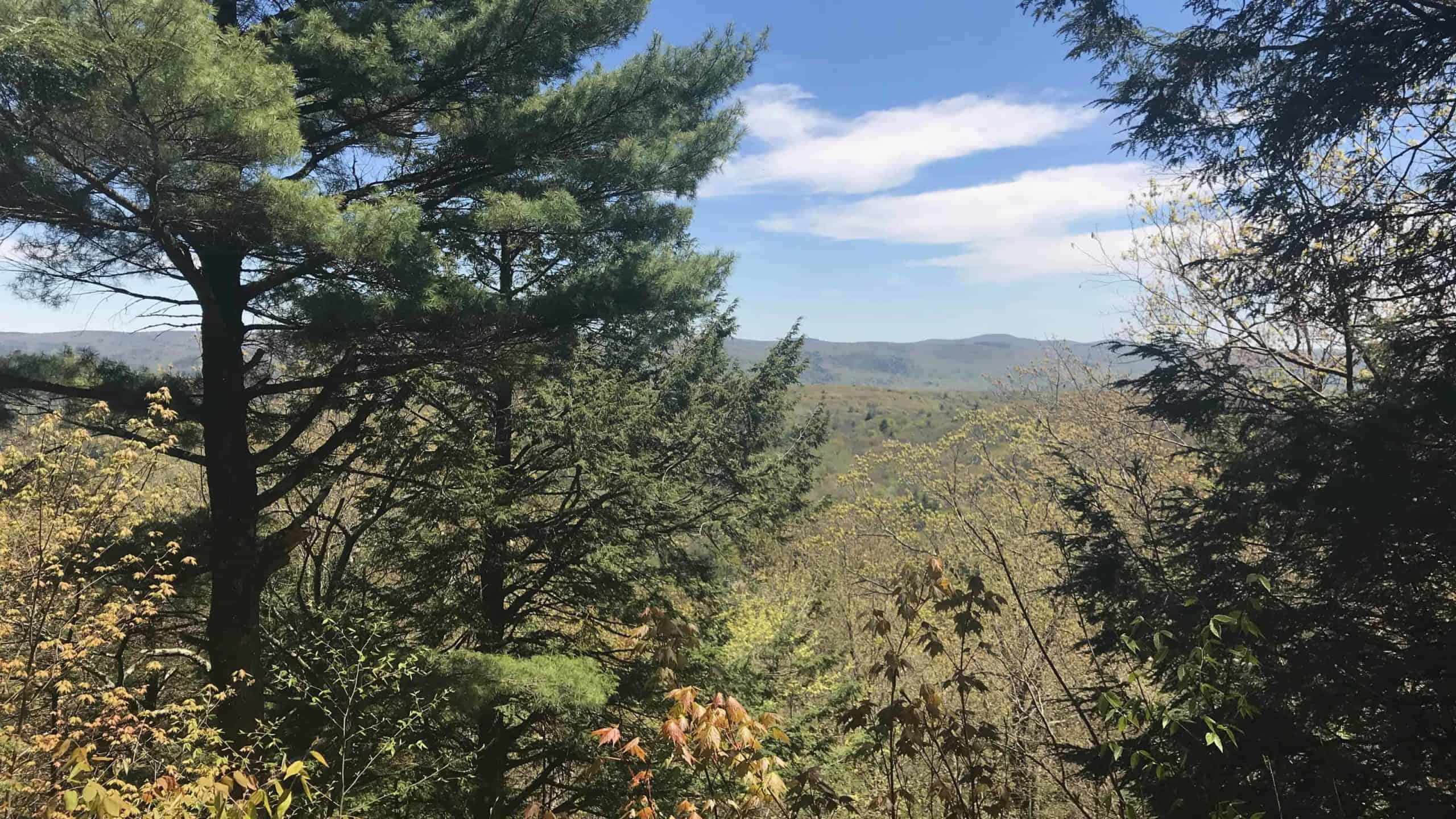 The Ledges Trail at Pleasant Valley Sanctuary looks out east from Lenox Mountain.