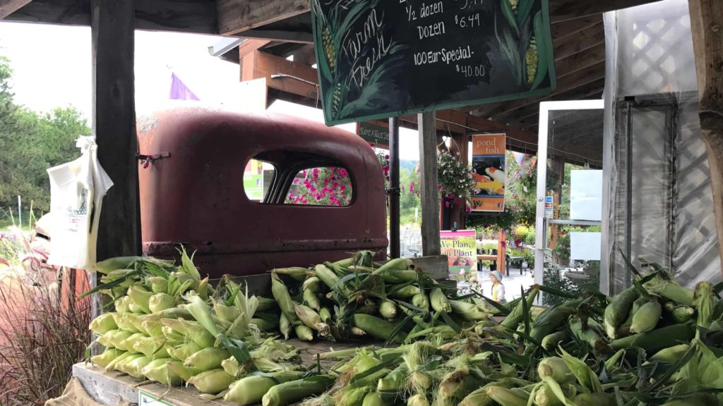 Whitney's Farm Market in Cheshire grows its own sweet corn — and offers it in vintage style.