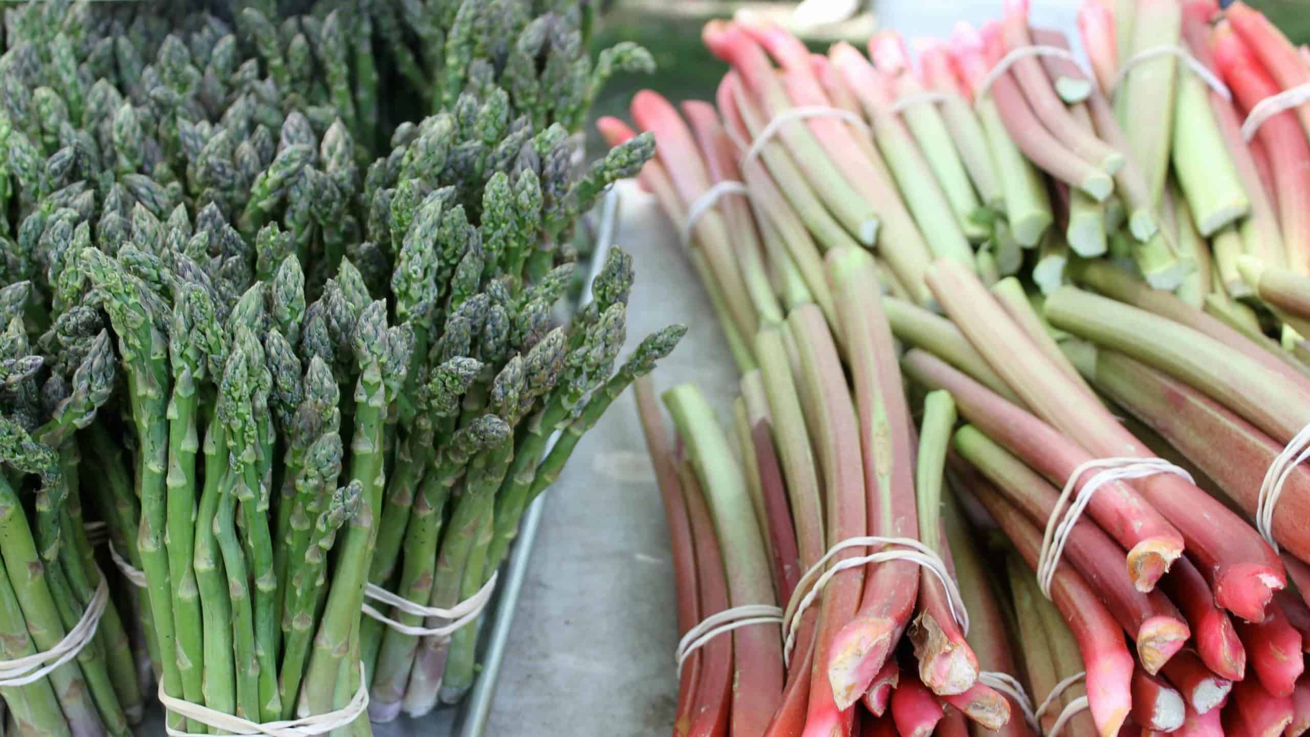 Asparagus and rhubarb glimmer early in the season at the Lenox Farmers Market.