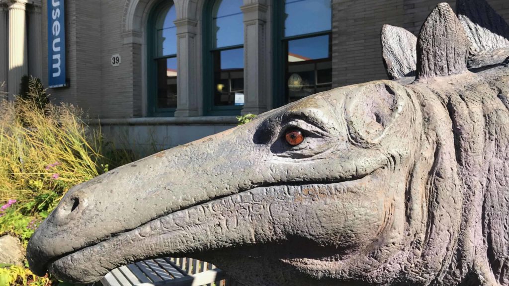 Wally the stegosaurus looks out at South Street in front of the Berkshire Museum in Pittsfield.