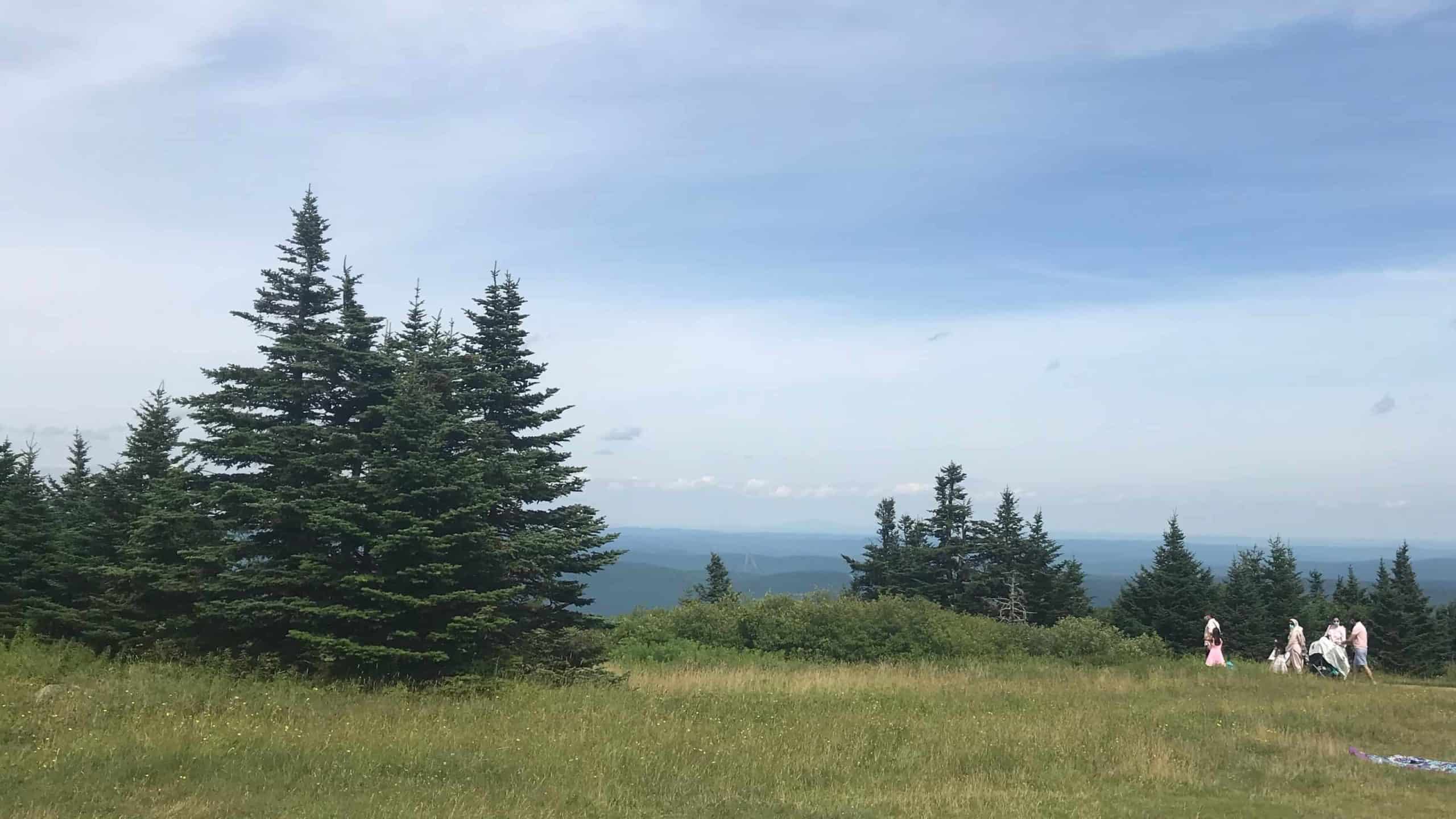 At it highest peak, Mount Greylock offers a long view from the high meadow among spruce and fir trees.
