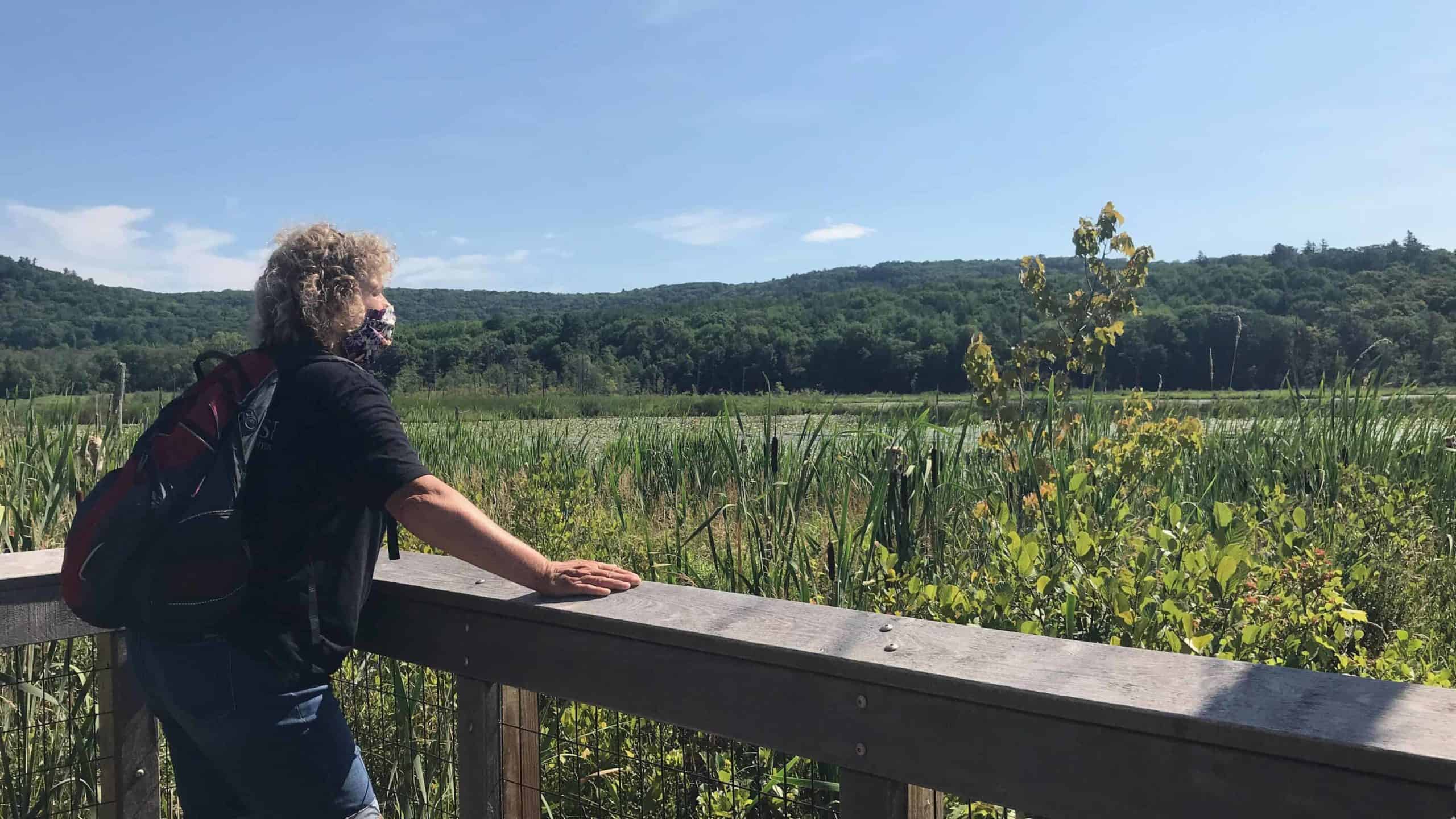Pam Tworig looks out across Parsons Marsh in Lenox on a Berkshire Camino guided walk.