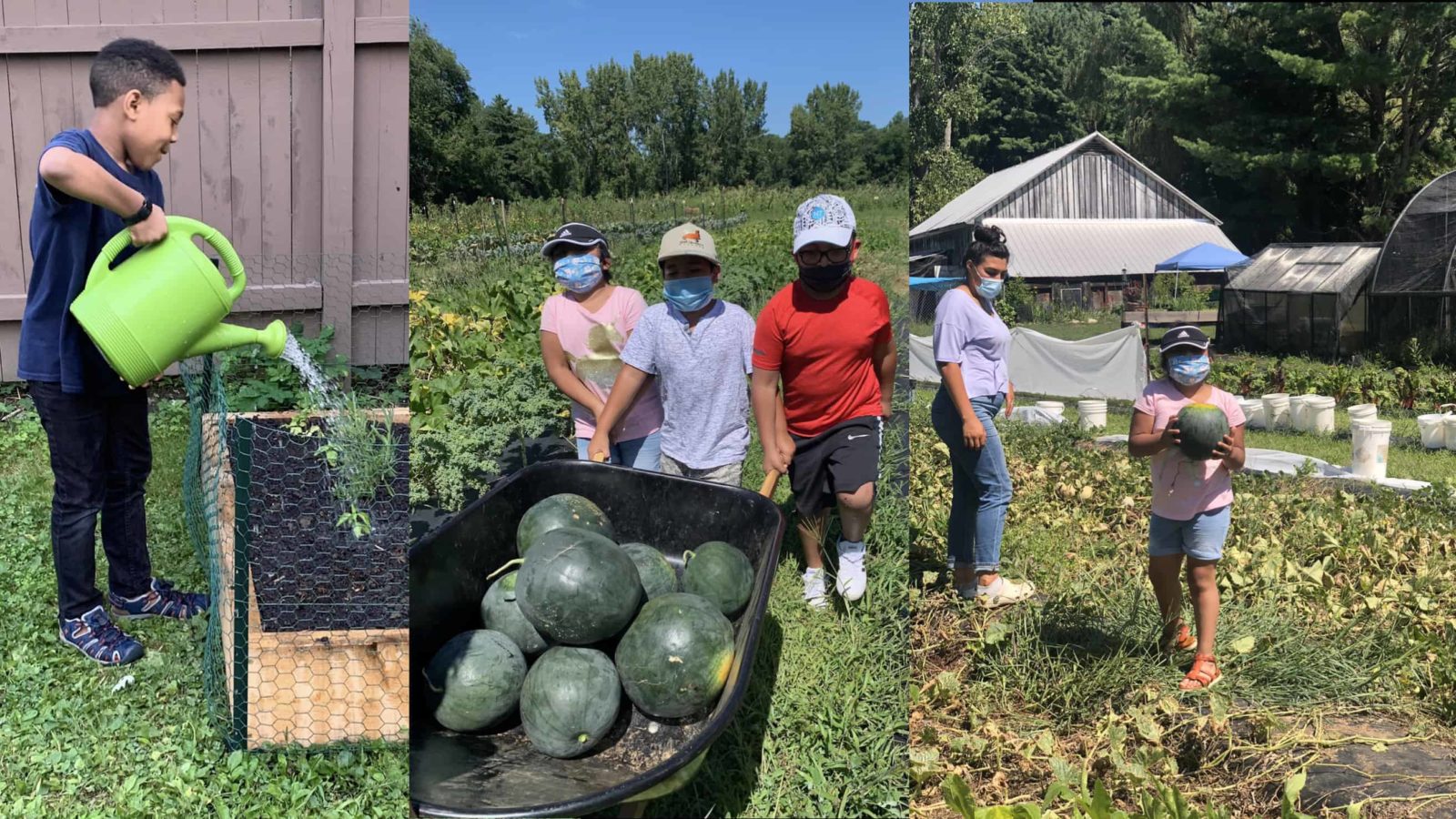 Quinton Hayes waters his plants, and Aylin Lopez tends homegrown watermelons with her older brother, Diego Lopez, and Jonathan Cedeno. Photos courtesy of Multicultural Bridge.