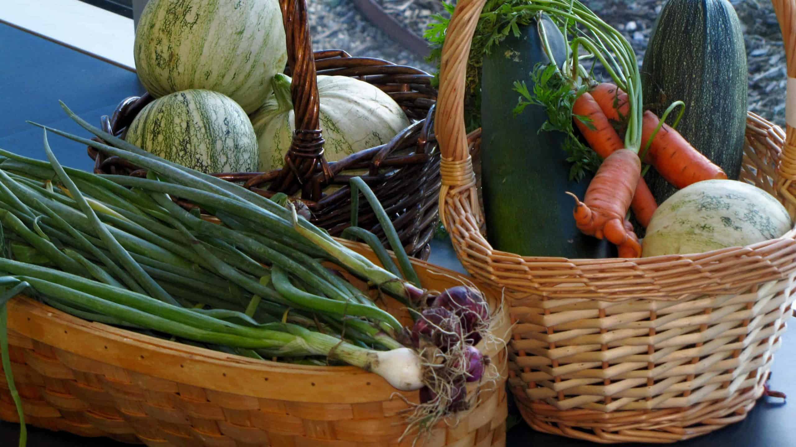 Garden baskets carry a bright cargo of scallions, carrots and more.