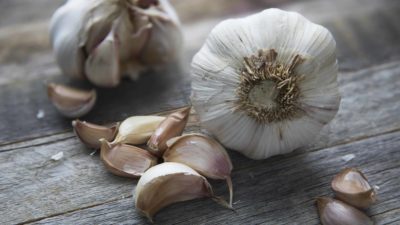 A head of garlic rests on a wooden table. Creative Commons courtesy photo.