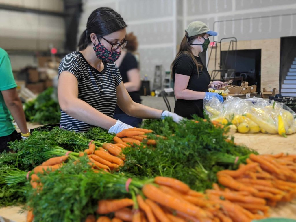 A volunteer with Roots Rising prepares fresh carrots for the Pittsfield Farmers Market. Press photo courtesy of Roots Rising